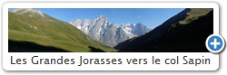 Les Grandes Jorasses vers le col Sapin