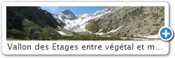 Vallon des Etages entre vgtal et minral