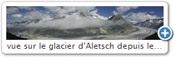 vue sur le glacier d'Aletsch depuis le sentier en balcon - Valais